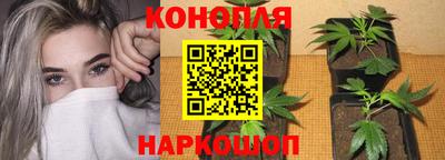 прущие грибы Камышлов