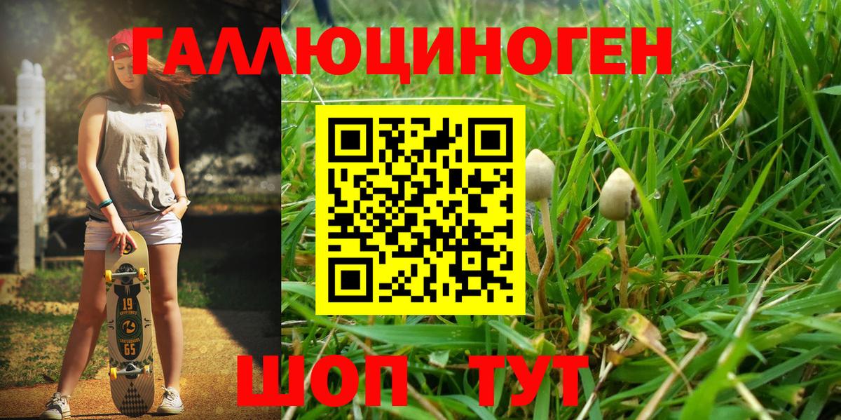 Псилоцибиновые грибы GOLDEN TEACHER Бузулук