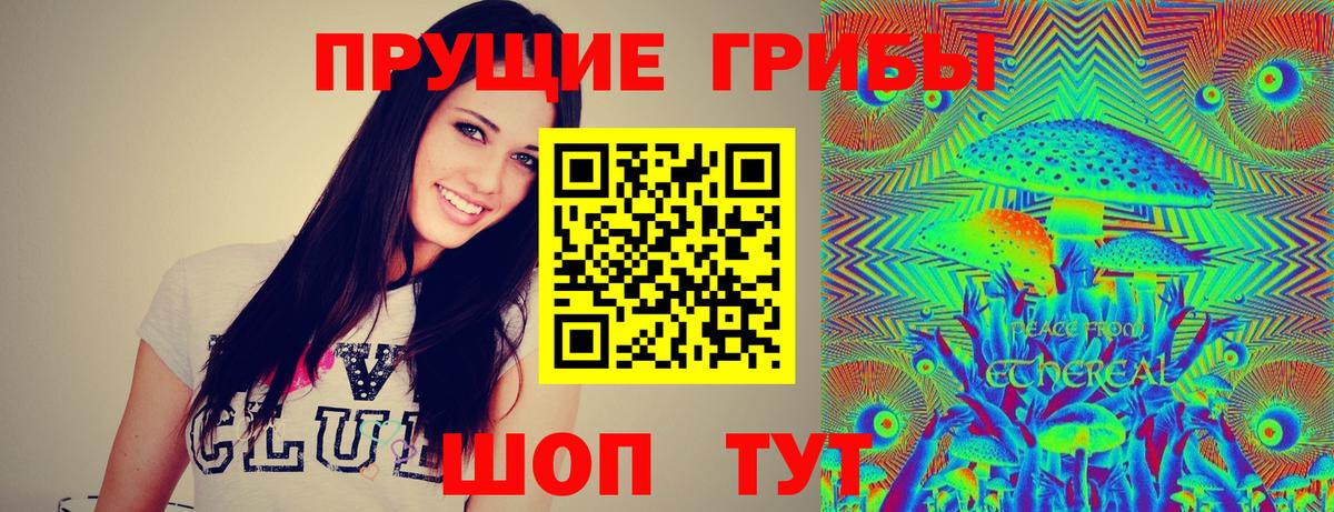 Галлюциногенные грибы Psilocybine cubensis  Псилоцибиновые грибы GOLDEN TEACHER  Бузулук  Вход с VPN 